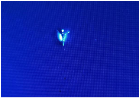 1708498005981870.png image.png